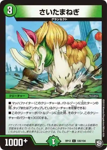 DMRP12-100 C さいたまねぎ