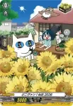 D-PR/1758 ドコヴァン！ネオ2026
