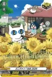 D-PR/1758 ドコヴァン！ネオ2026