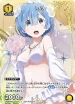 UAPR/REZ-2-007 C 雷姆