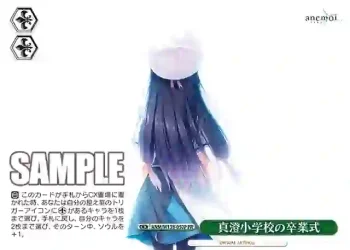 ANM/W138-050P PR 真澄小学校の卒業式