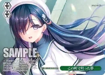 ANM/W138-051P PR この町で叶った夢