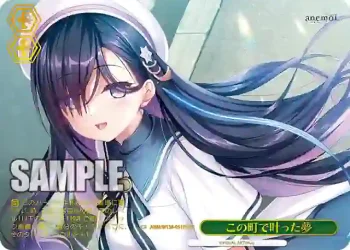 ANM/W138-051PS PR この町で叶った夢