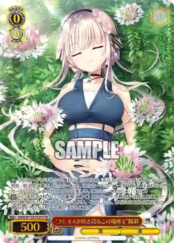 ANM/W138-052PS PR “クレオメが咲き誇るこの場所で”陽彩