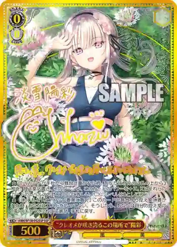 (簽名)ANM/W138-052SSP SSP “クレオメが咲き誇るこの場所で”陽彩