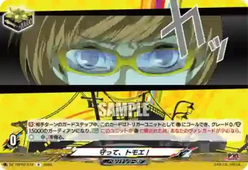 DZ-TBP02/072 守って、トモエ！