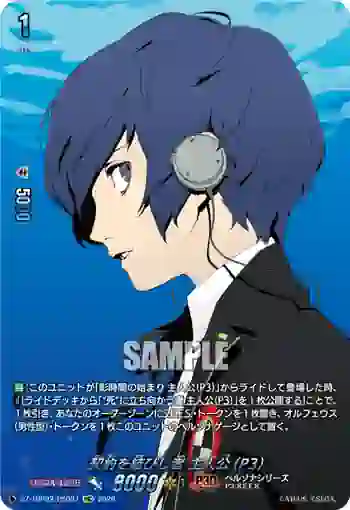 DZ-TBP02/PS087 契約を結びし者 主人公(P3)