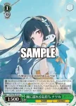 STS/W140-018S SR★ 見えない素顔 レイス