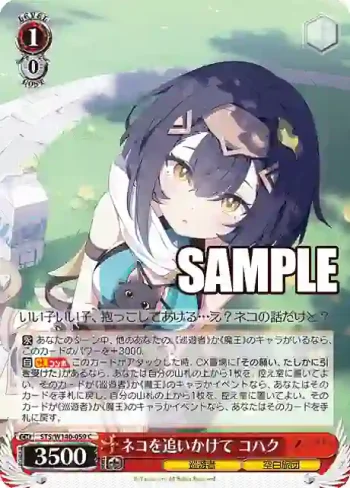 STS/W140-059 C ネコを追いかけて コハク