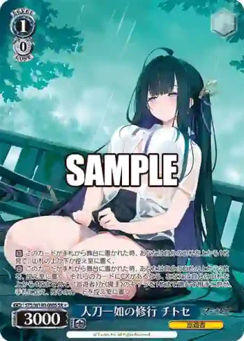 STS/W140-080S SR★ 人刀一如の修行 チトセ